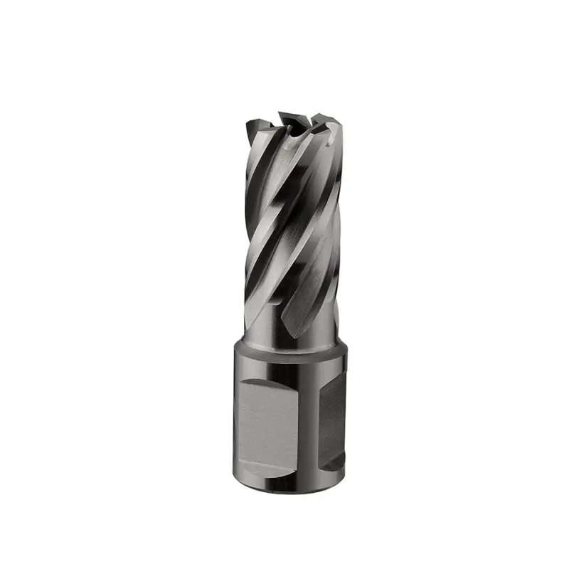 Hassle-Free Returns High Speed Steel Annular Cutter with Weldon Shank 11/16", 1" Depth